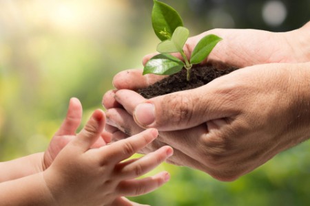 FUNDACJA RODZINNA – cz.2 FUNDATOR